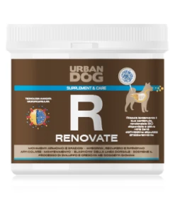 Urban Dog Renovate
