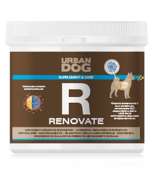 Urban Dog Renovate 1 Urban Dog Renovate