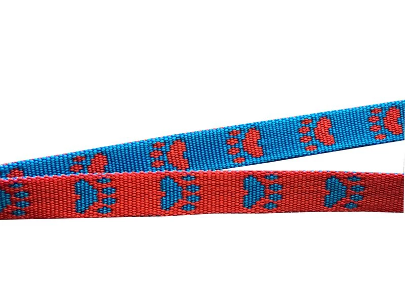 Welpenset Leine & Halsband 3 Welpenset Leine & Halsband – Bild 3