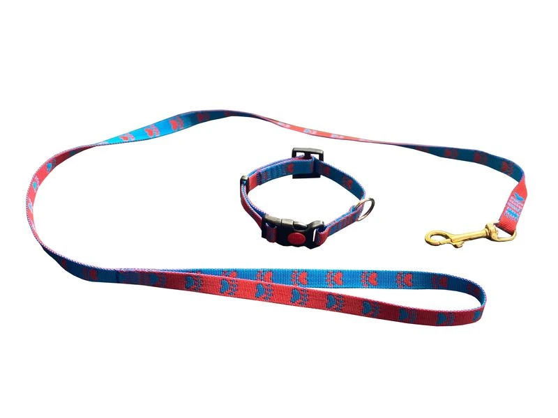 Welpenset Leine & Halsband 1 Welpenset Leine & Halsband