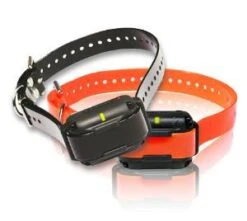 Dogtra 610C & 640C Einzelempfänger