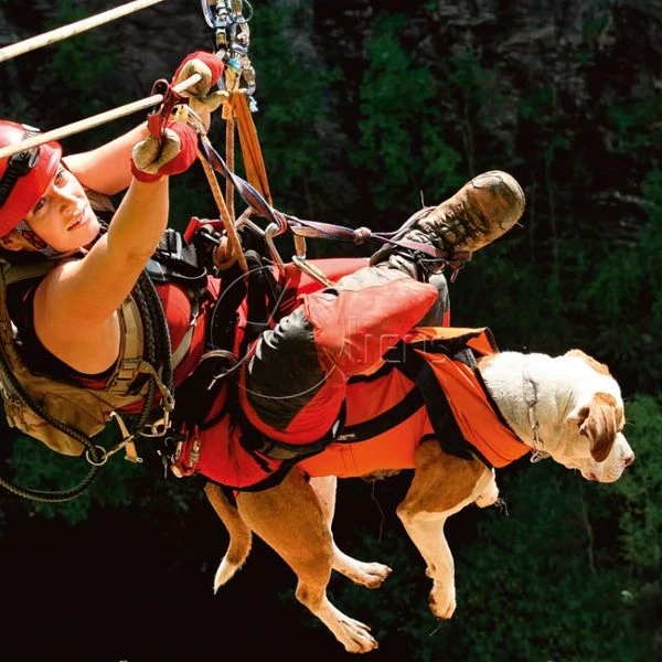 Laika Transportgurt Für Gebrauchshunde 2 Laika Transportgurt Für Gebrauchshunde – Bild 2