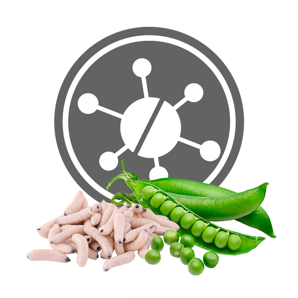 Exclusion Insekt & Erbse Hypoallergenic Small Breed 2 Exclusion Insekt & Erbse Hypoallergenic Small Breed – Bild 2