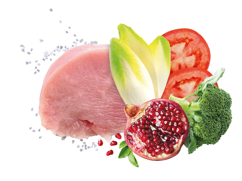 Exclusion Mediterraneo Noble Grain Adult Pute Nassfutter 2 Exclusion Mediterraneo Noble Grain Adult Pute Nassfutter – Bild 2