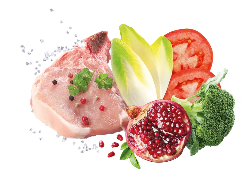 Exclusion Mediterraneo Noble Grain Adult Kalb Nassfutter 2 Exclusion Mediterraneo Noble Grain Adult Kalb Nassfutter – Bild 2