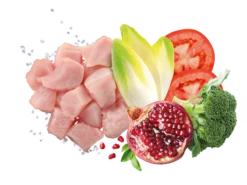 [Paket] Sparangebot 2x Exclusion Huhn Large 12 Kg -Geschäft Für Trainingsausrüstung Für Haustiere ngpcs ingredienti 2