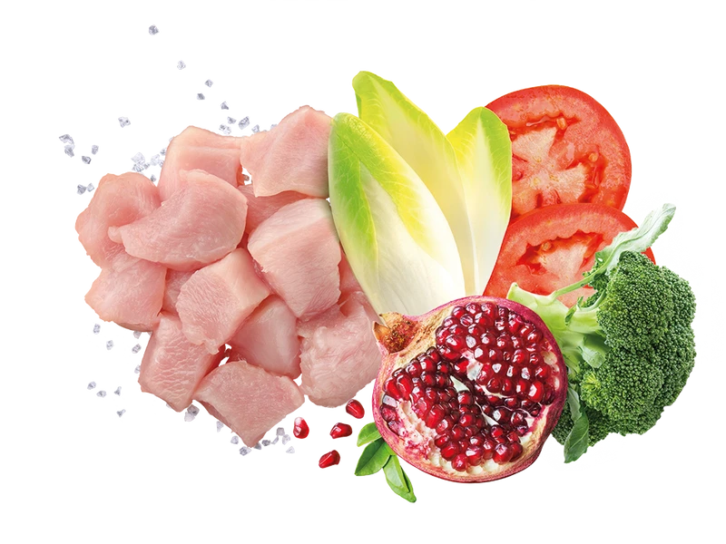 Exclusion Mediterraneo Noble Grain Puppy Huhn Medium 2 Exclusion Mediterraneo Noble Grain Puppy Huhn Medium – Bild 2