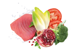 [Paket] Sparangebot 2x Exclusion Thunfisch Medium 12 Kg -Geschäft Für Trainingsausrüstung Für Haustiere ngpts ingredienti 1