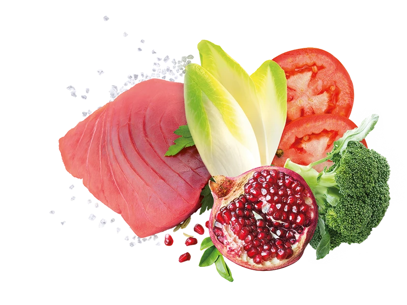 Exclusion Mediterraneo Noble Grain Adult Thunfisch Large 2 Exclusion Mediterraneo Noble Grain Adult Thunfisch Large – Bild 2