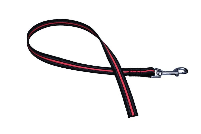 Doppelt Gummierte Leine Mit Messingkarabiner 2 M 1 Doppelt Gummierte Leine Mit Messingkarabiner 2 M