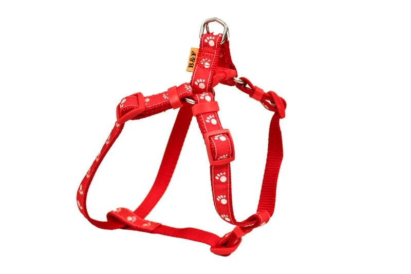 Nylongeschirr Größe 5-6 2 Nylongeschirr Größe 5-6 – Bild 2