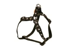 Nylongeschirr Größe 5-6 5 Nylongeschirr Größe 5-6 -Geschäft Für Trainingsausrüstung Für Haustiere popruhove ksiry tlapky 2