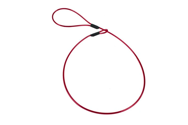 Einwirkungshalsband Rot 1 Einwirkungshalsband Rot